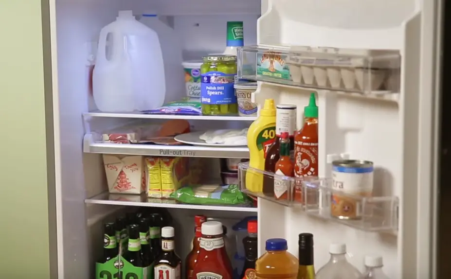 Best Fridge for Apartment in 2024