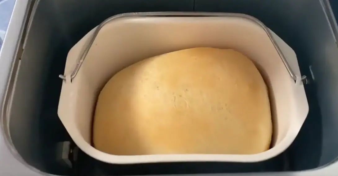 KBS Pro Stainless Steel Bread Machine