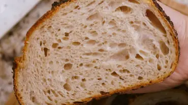Best Bread Machine for Gluten Free Bread
