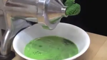 Best Juicer for Wheatgrass