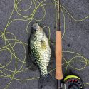 Best Electric Fillet Knife for Crappie in 2024