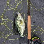 Best Electric Fillet Knife for Crappie in 2022