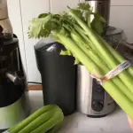Best Juicer for Celery in 2023