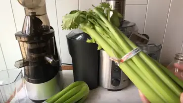 Best Juicer for Celery in 2022