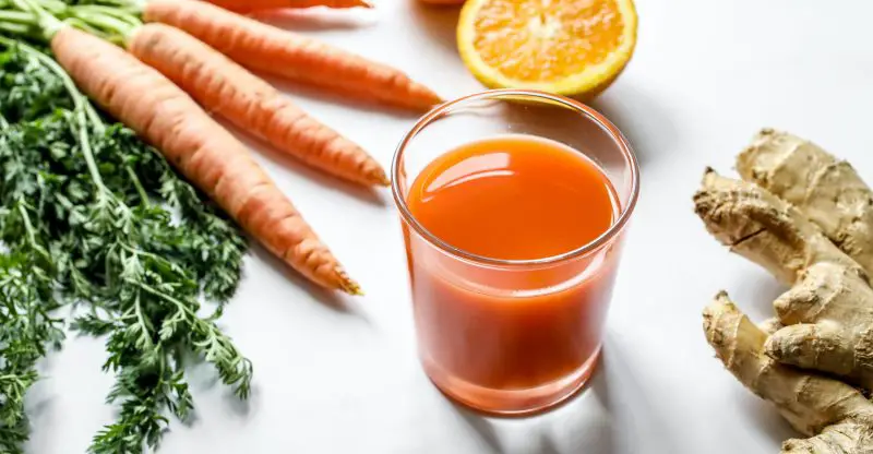Best Juicer for Carrots in 2023