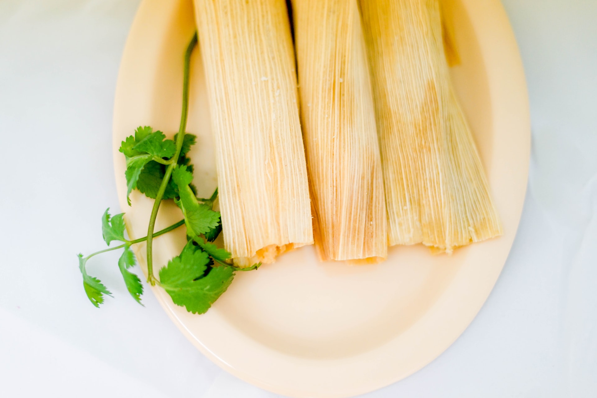 How to Cook XLNT Tamales