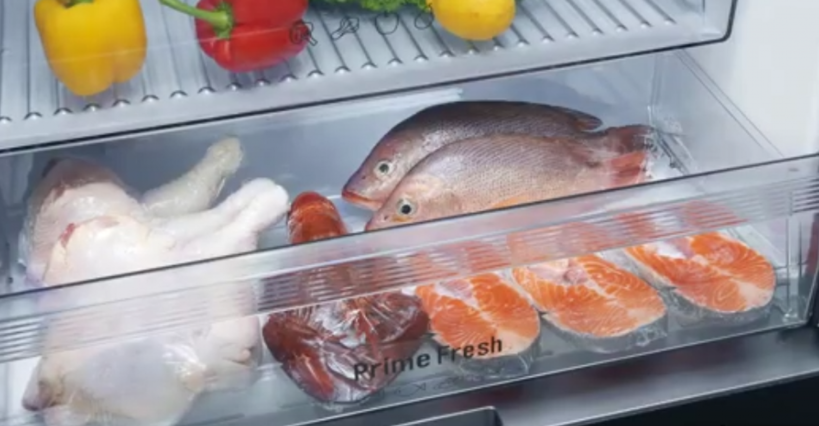 Best Fridge for Hot Climate in 2024