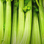 Best Blender For Juicing Celery in 2023