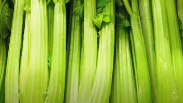 Best Blender For Juicing Celery in 2024