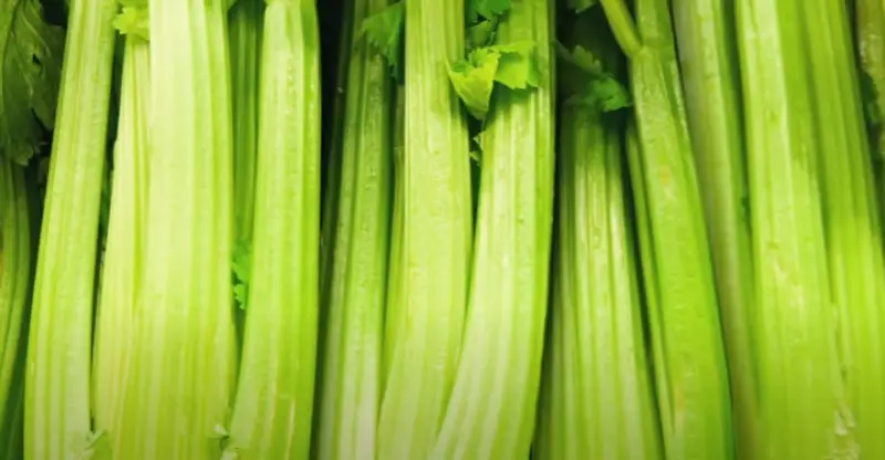 Best Blender For Juicing Celery in 2022