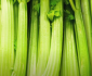 Best Blender For Juicing Celery in 2023
