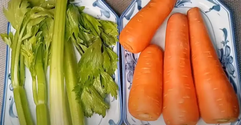 Best Juicer For Carrots And Celery in 2022
