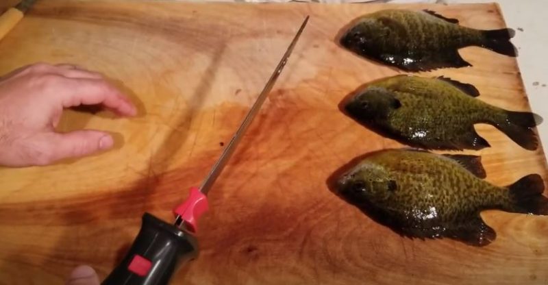Best Fillet Knife for Crappie in 2024