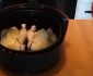 How Long To Cook Cornish Hens In Air Fryer