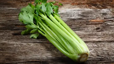 What Is The Best Juicer For Celery