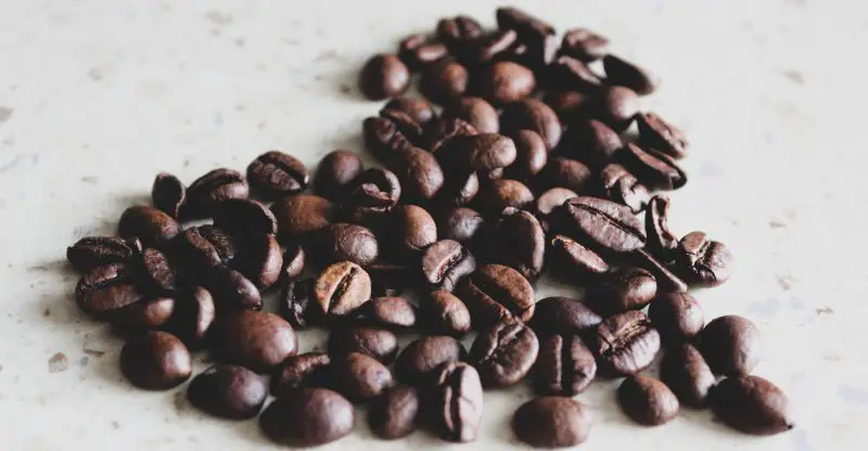 Best Coffee Beans for Jura Machines in 2022