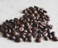 Best Coffee Beans for Jura Machines in 2024