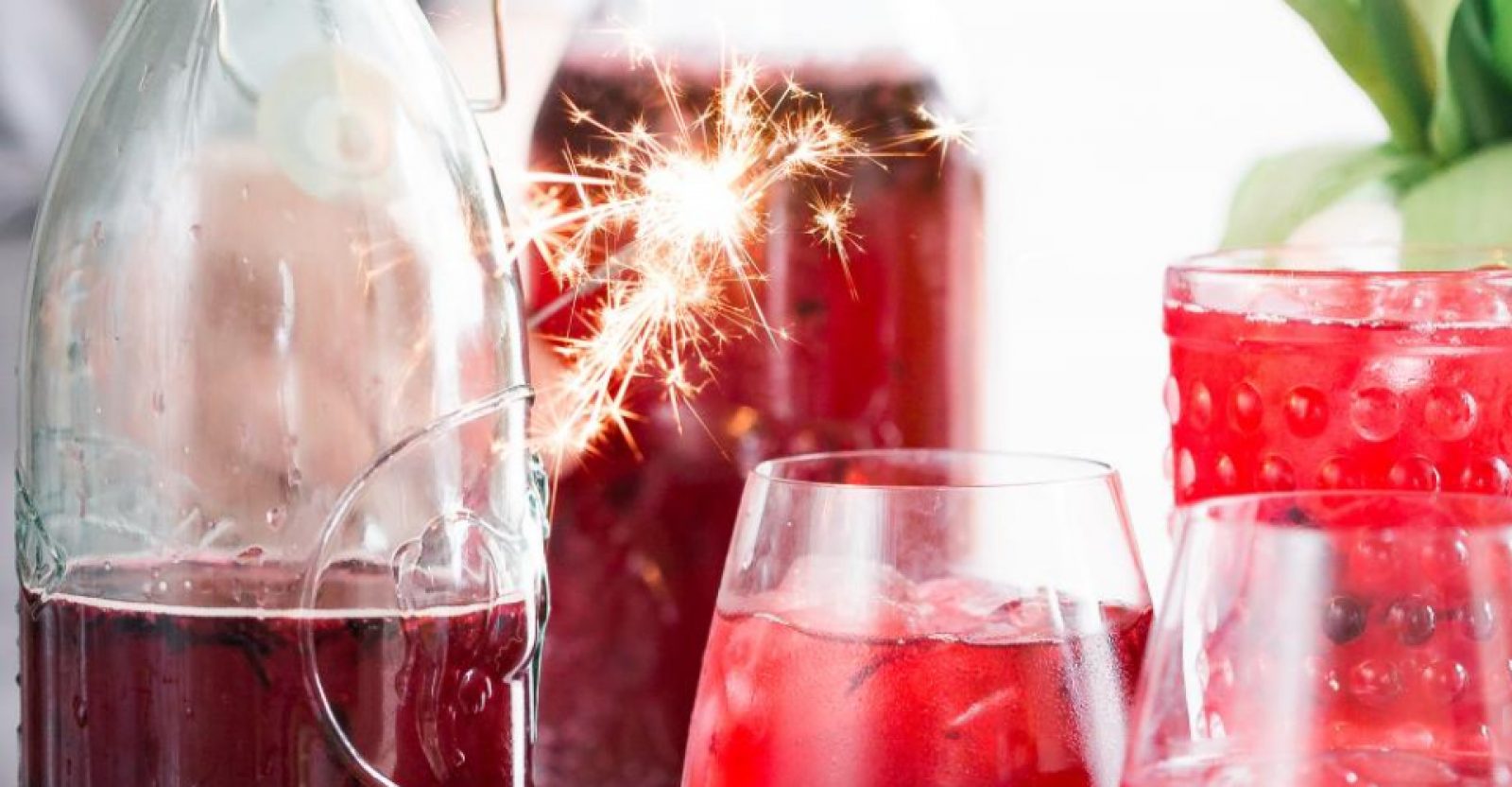 Best Juicer for Grapes with Seeds in 2024