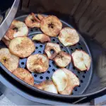 How to Dry Fruit in an Air Fryer?