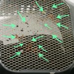 How to Clean an Air Fryer Oven