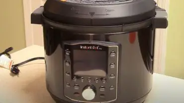 What is the Difference Between an Air Fryer and an Instant Pot