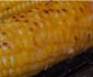 How to Grill Corn without a Grill