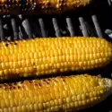 How Long to Grill Corn on the Cob Without Husks