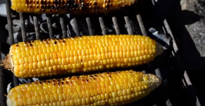 How Long to Grill Corn on the Cob Without Husks