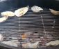 How to Steam Oysters on The Grill