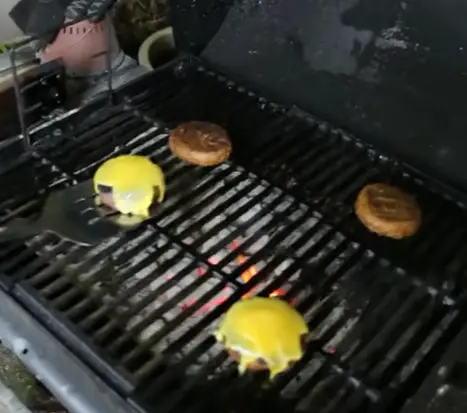 How Long To Grill Beyond Burgers