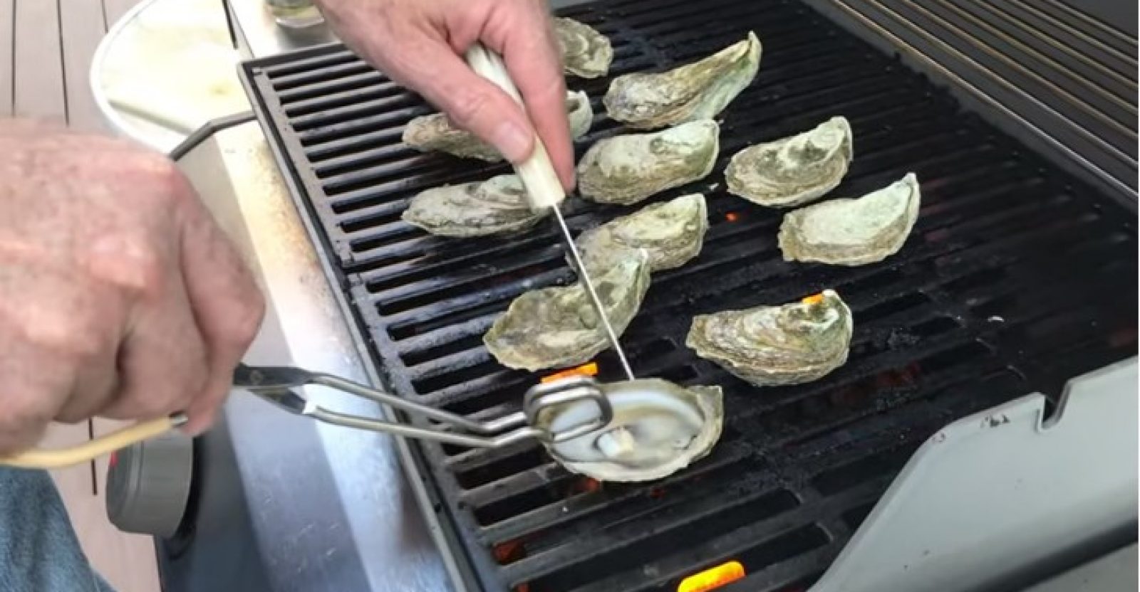 How to Steam Oysters on a Grill