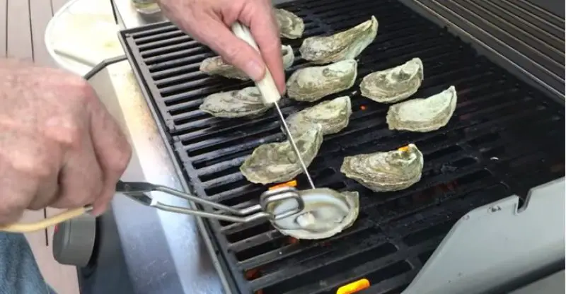 How to Steam Oysters on a Grill