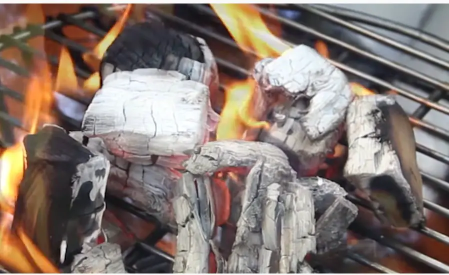 How to Grill with Wood Chunks