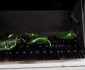 How to Roast Poblano Peppers on the Grill