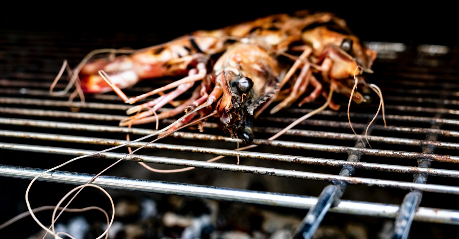 How To Get Rust Off Stainless Steel Grills