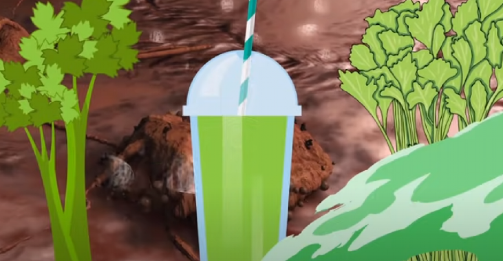 How Much Celery Juice Per Day