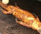 How To Cook Alligator Meat On Grill