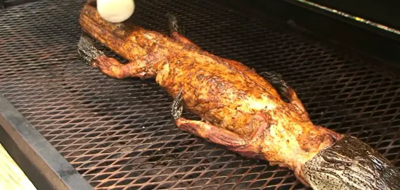 How To Cook Alligator Meat On Grill