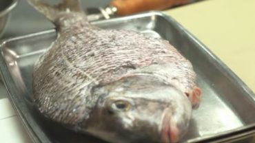 How To Cook Porgy On The Grill
