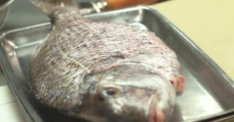 How To Cook Porgy On The Grill