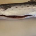 How To Cook Spanish Mackerel On The Grill