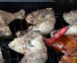 How To Grill Half A Chicken On A Gas Grill