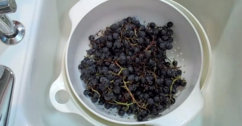 How to Make Juice from Concord Grapes