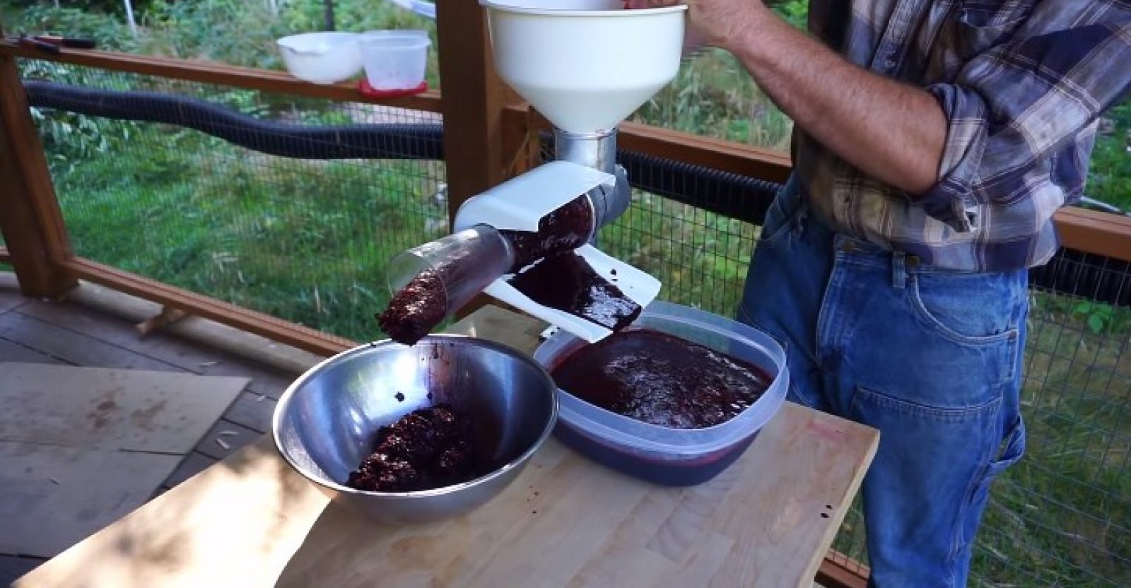 Can You Juice Blackberries