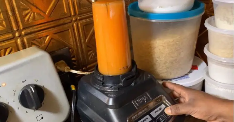 How to Juice Papaya