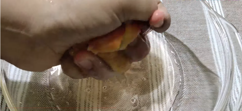 How to Juice an Apple Without a Juicer