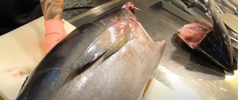 How To Grill Yellowtail Tuna