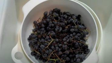 How To Make Grape Juice With Concord Grapes