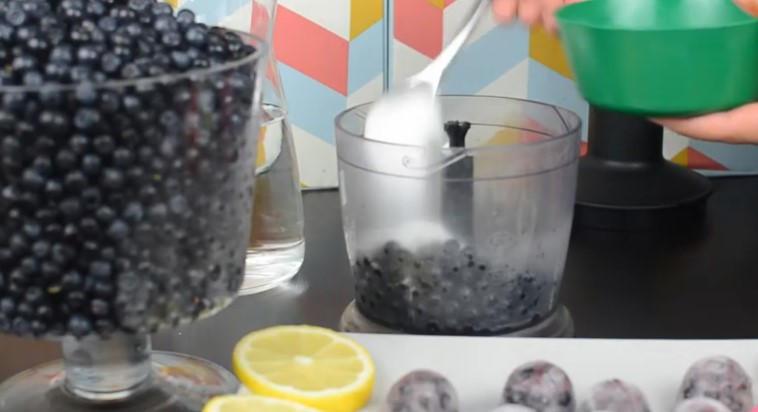 How to Juice Blueberries