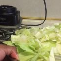 How to Juice Cabbage